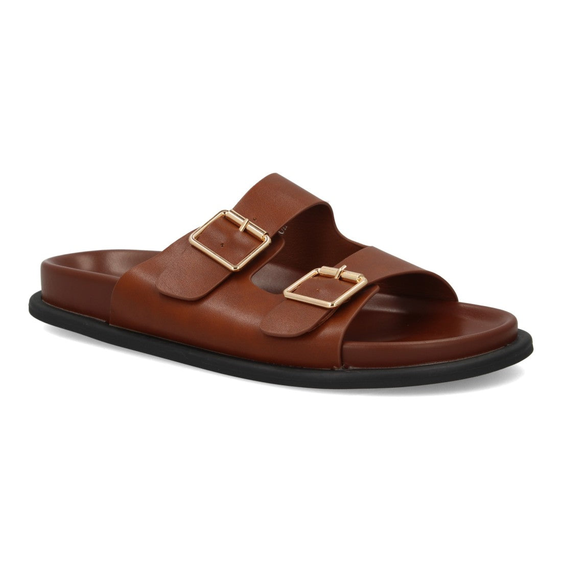 OH-572-Camel