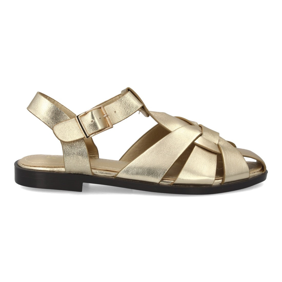 X-5731-Oro