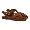 X-5731-Camel