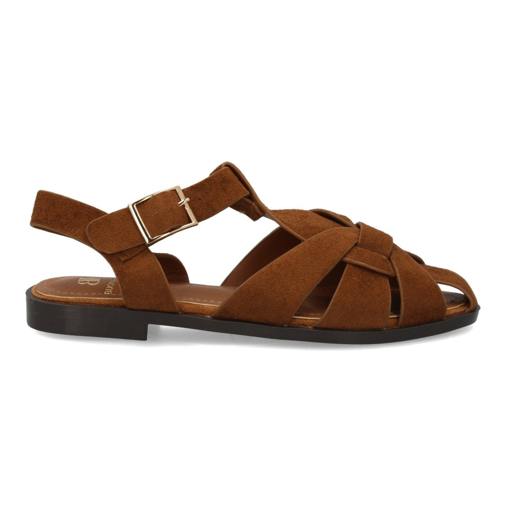 X-5731-Camel