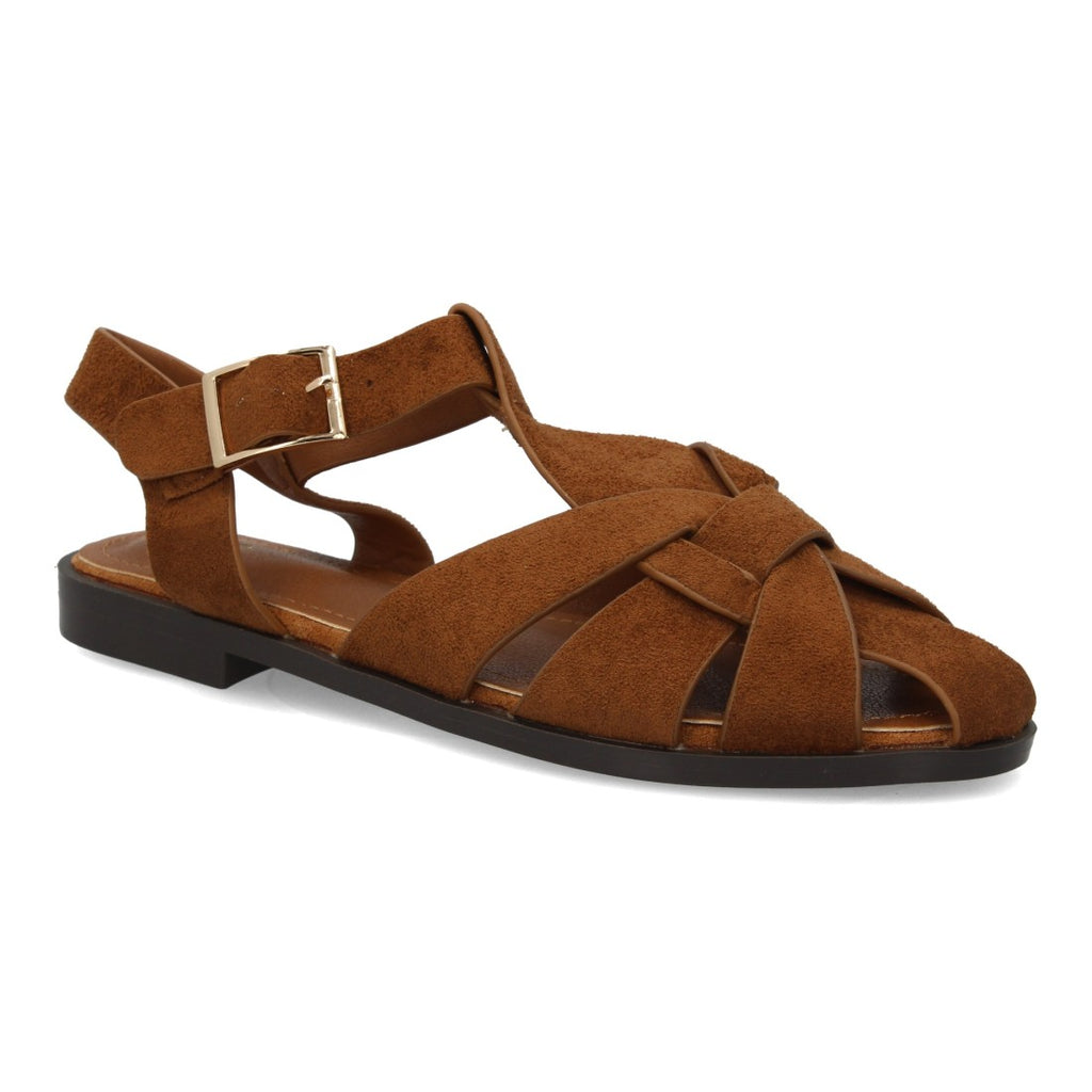 X-5731-Camel