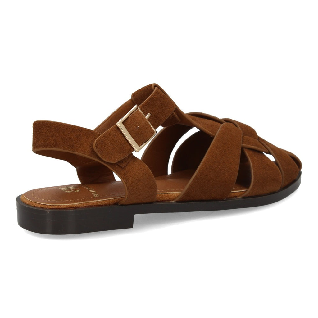 X-5731-Camel