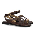 2066-Brown