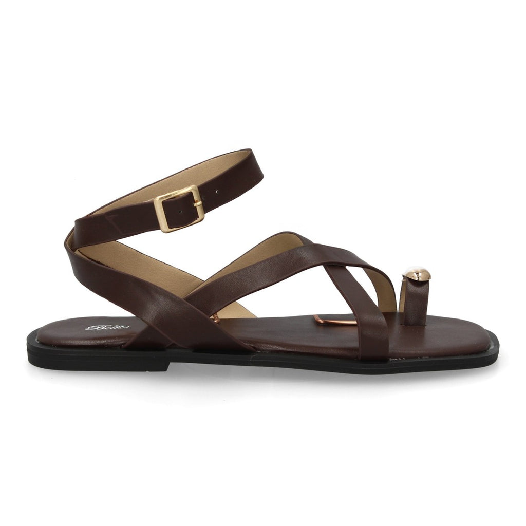 2066-Brown