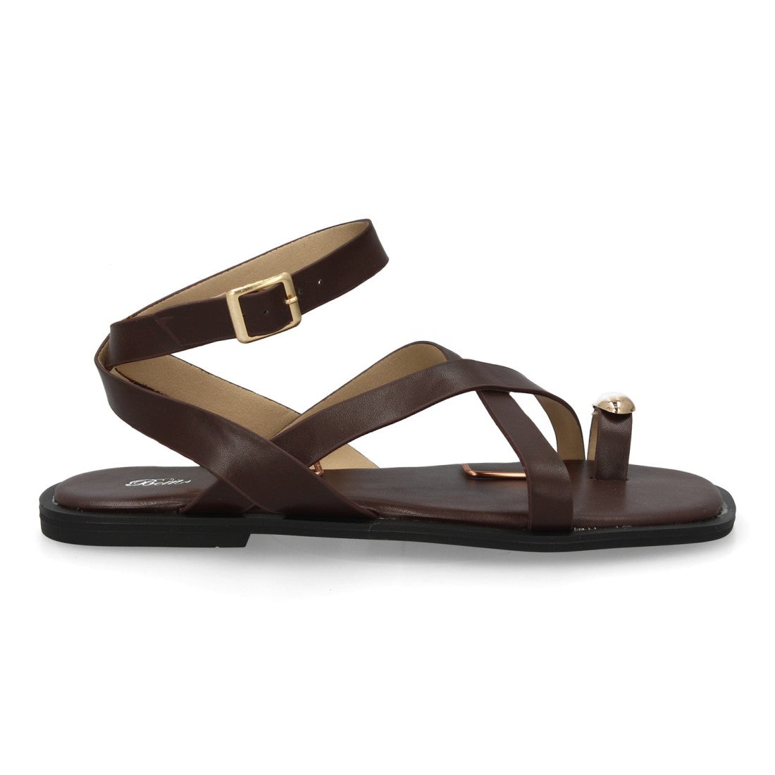 2066-Brown