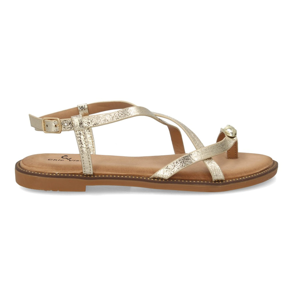 TF5560-Gold