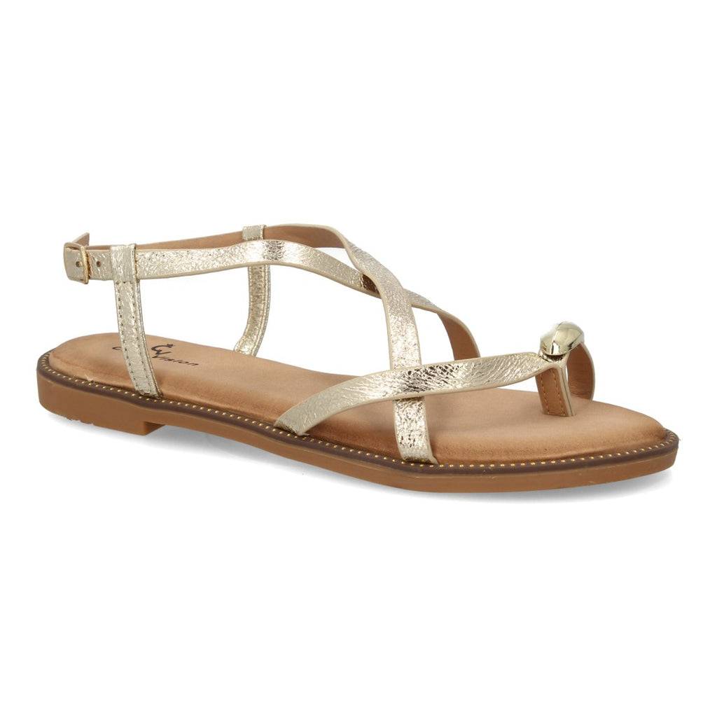 TF5560-Gold