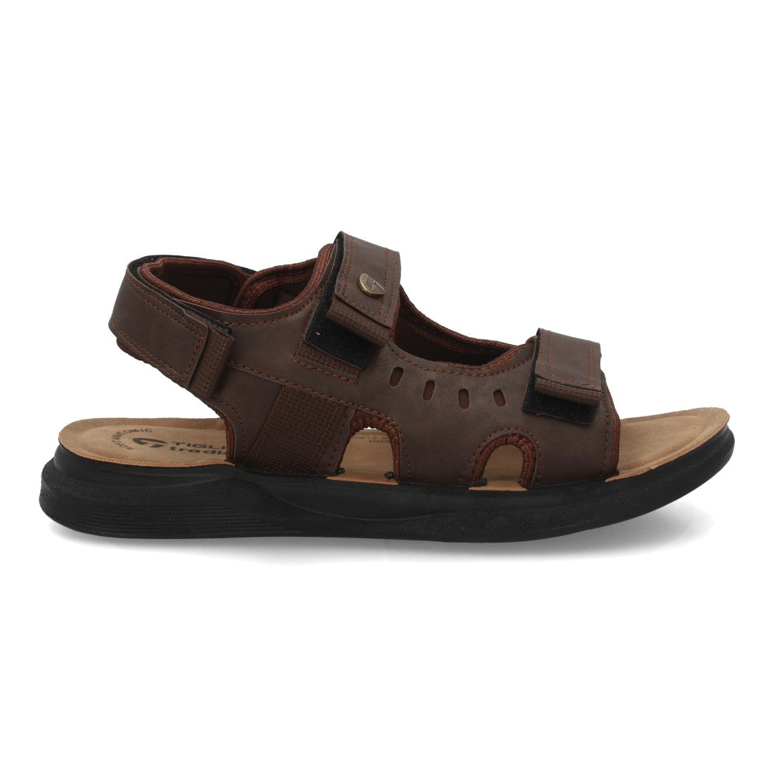 4855-Marron