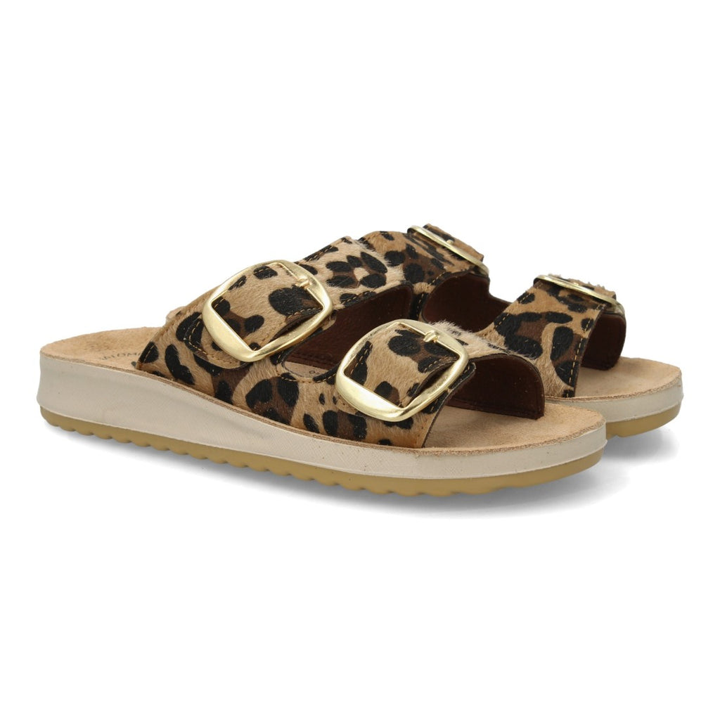 6570-Leopard