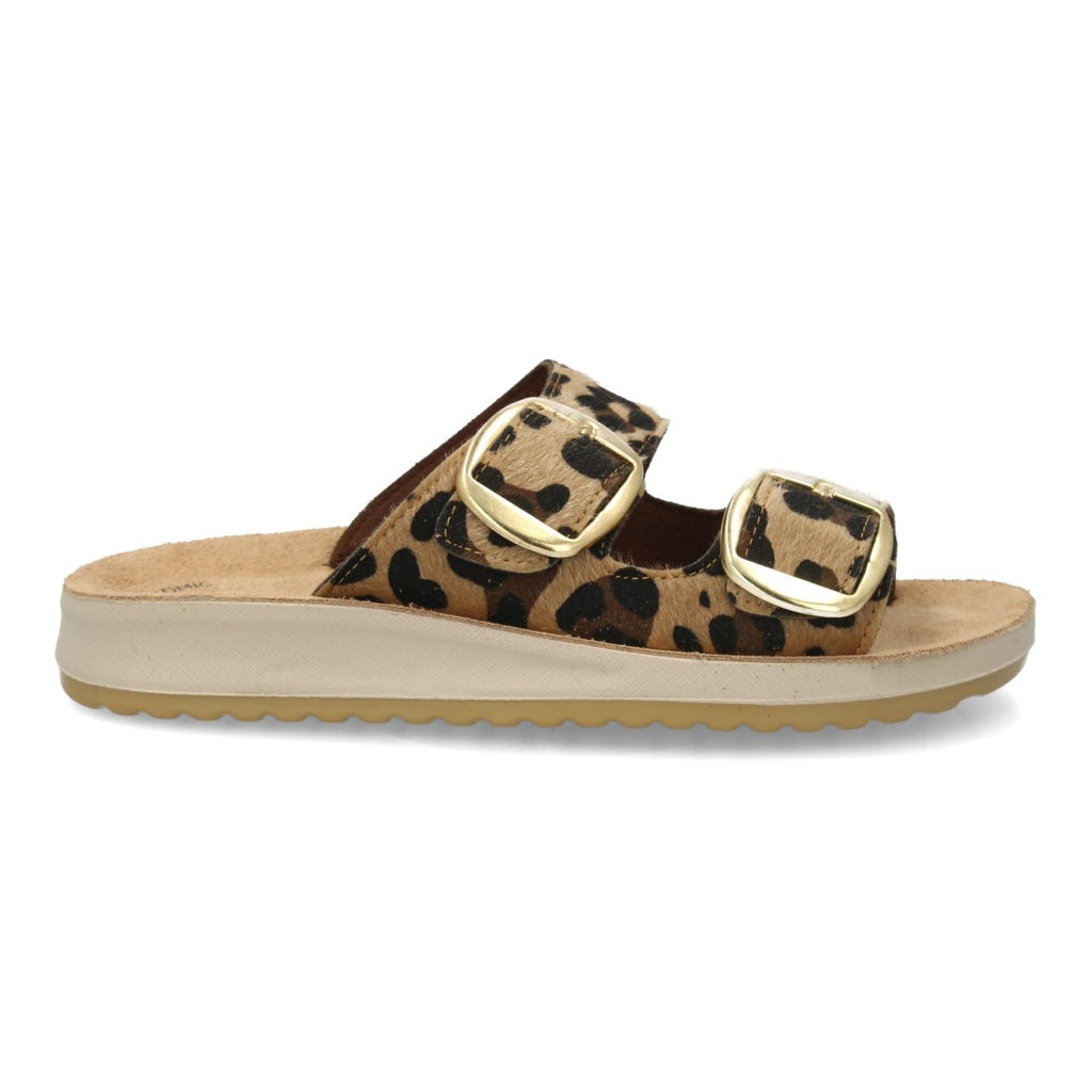 6570-Leopard
