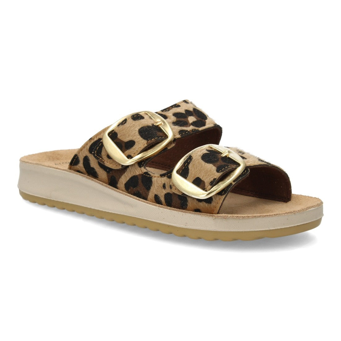 6570-Leopard