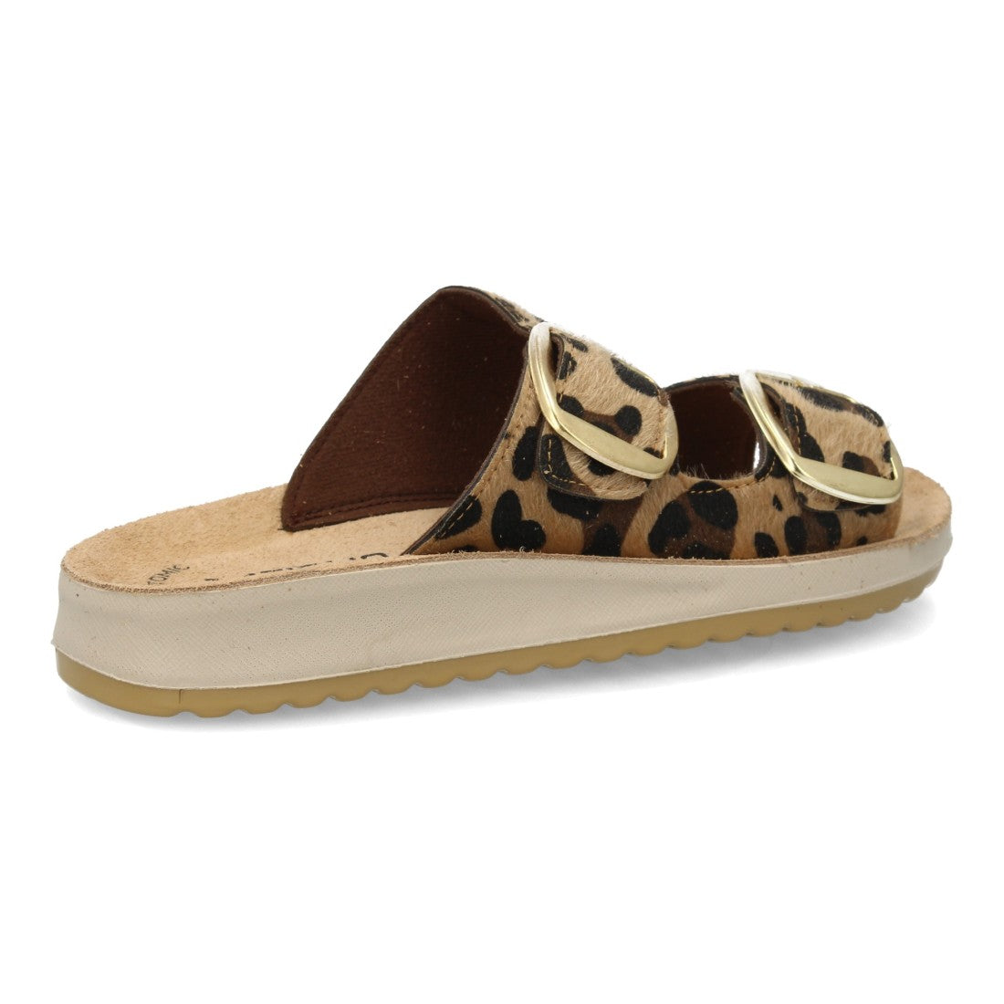6570-Leopard