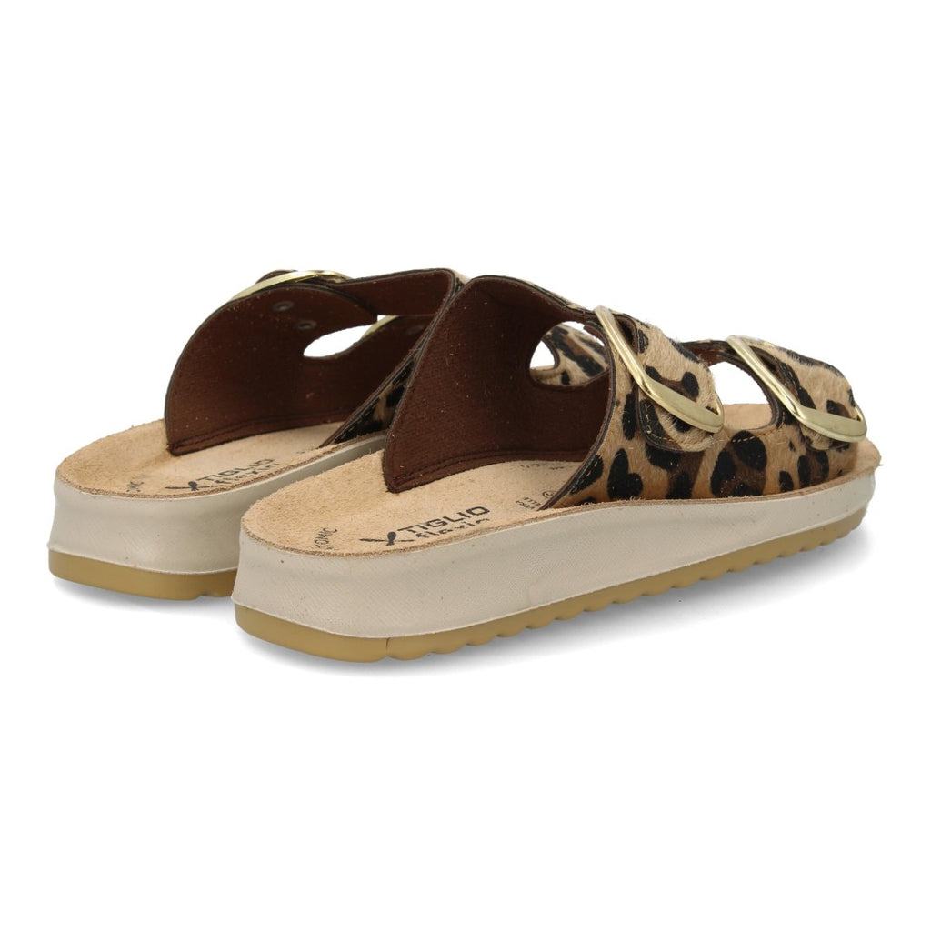 6570-Leopard