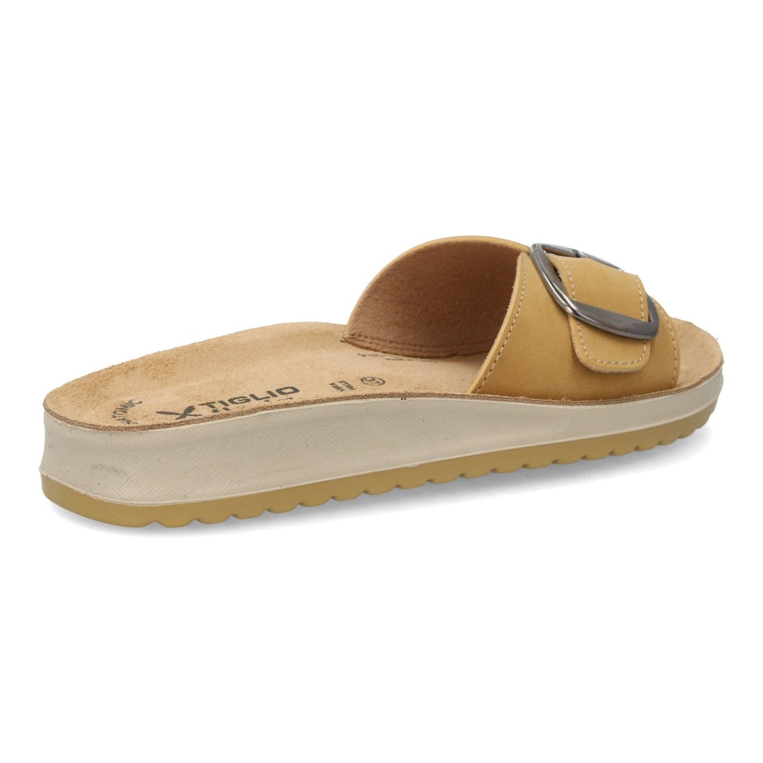 6545-Camel