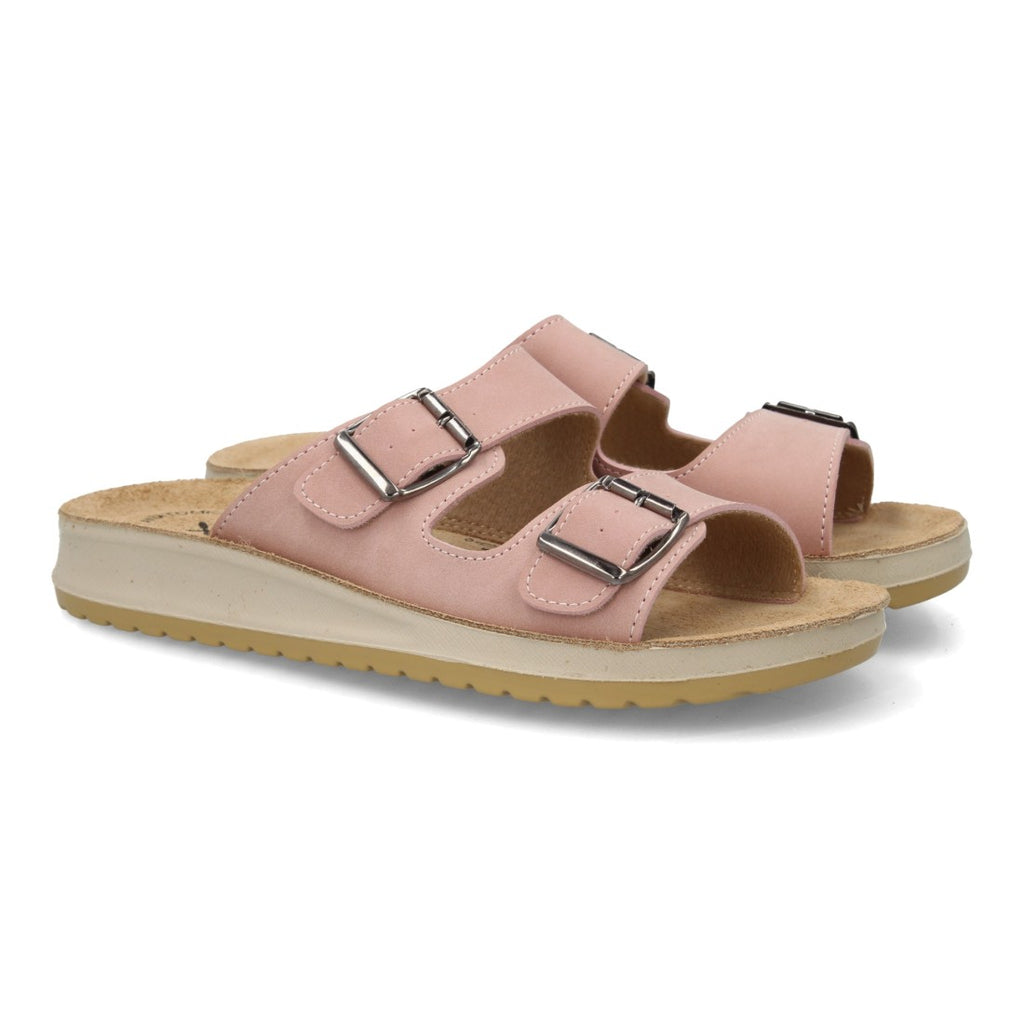 6542-Rose