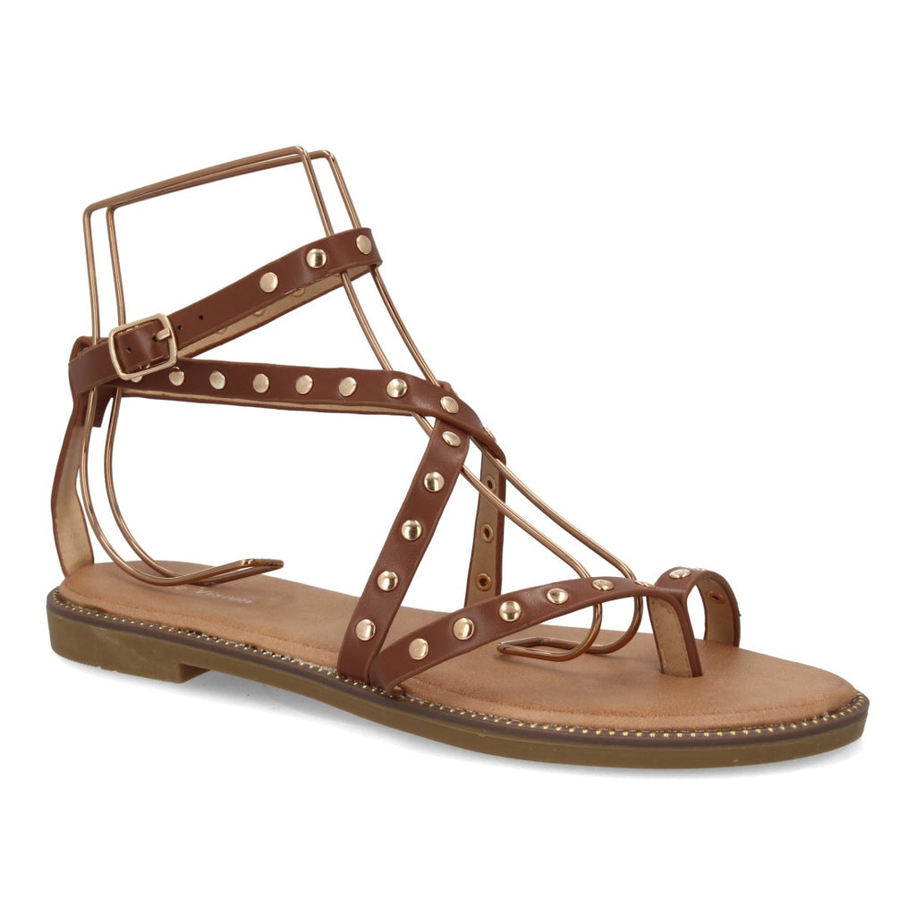 TF6069-Camel