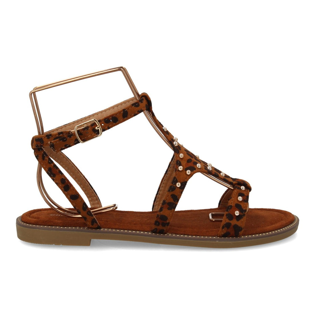 TF6068-Leopard