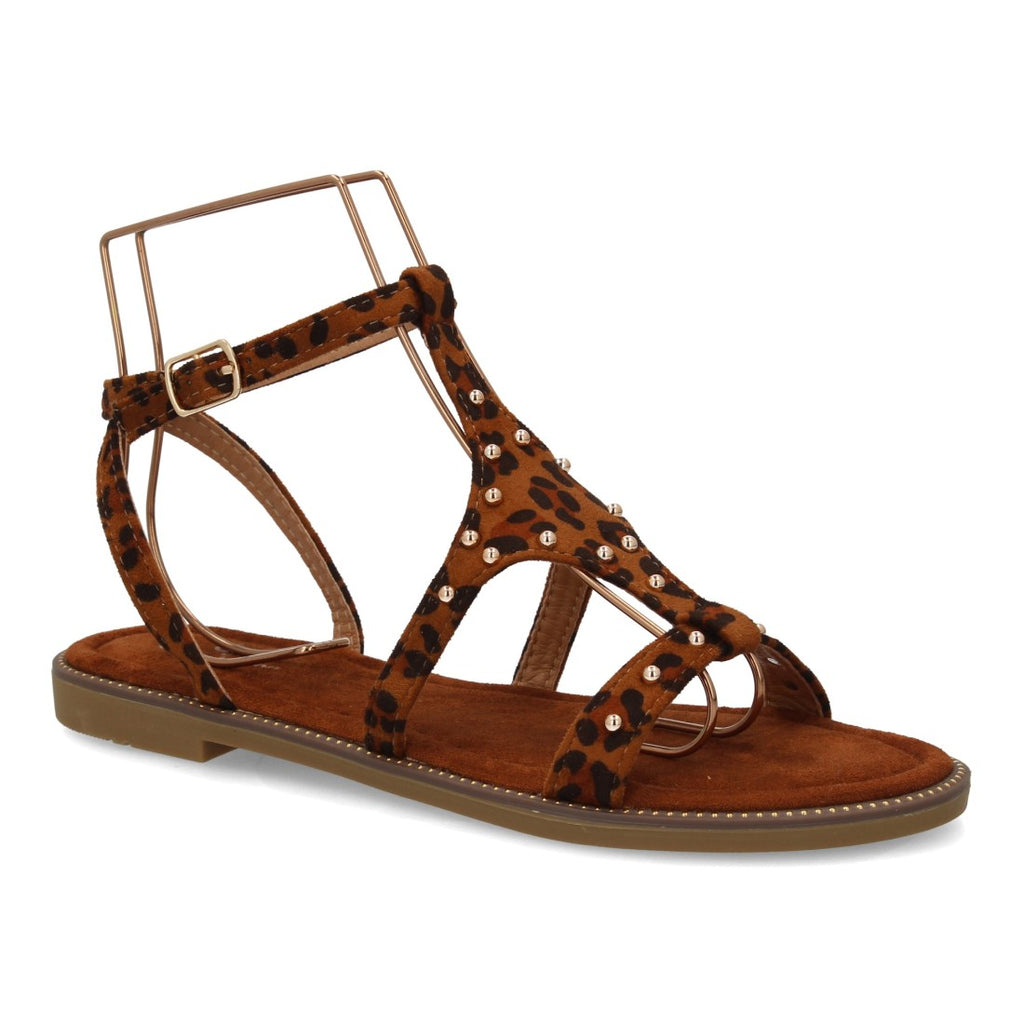 TF6068-Leopard
