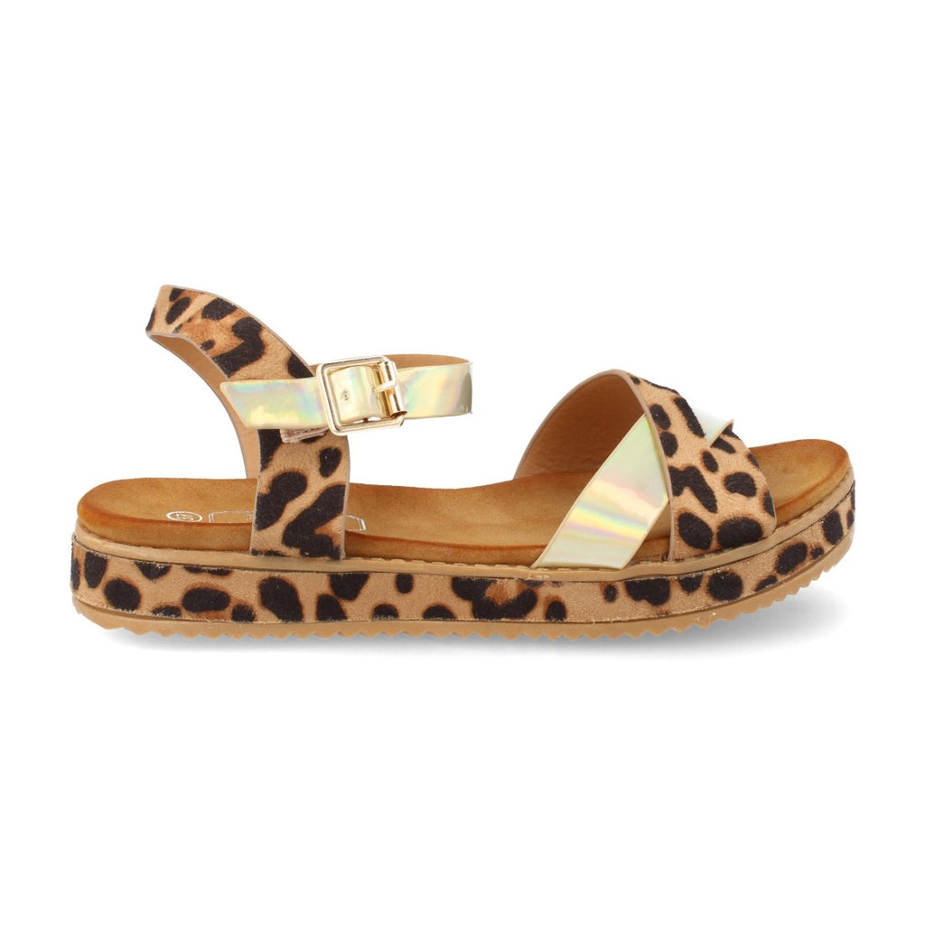 HD-397-Leopard