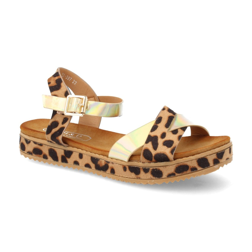 HD-397-Leopard