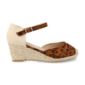 HD-280-Leopardo