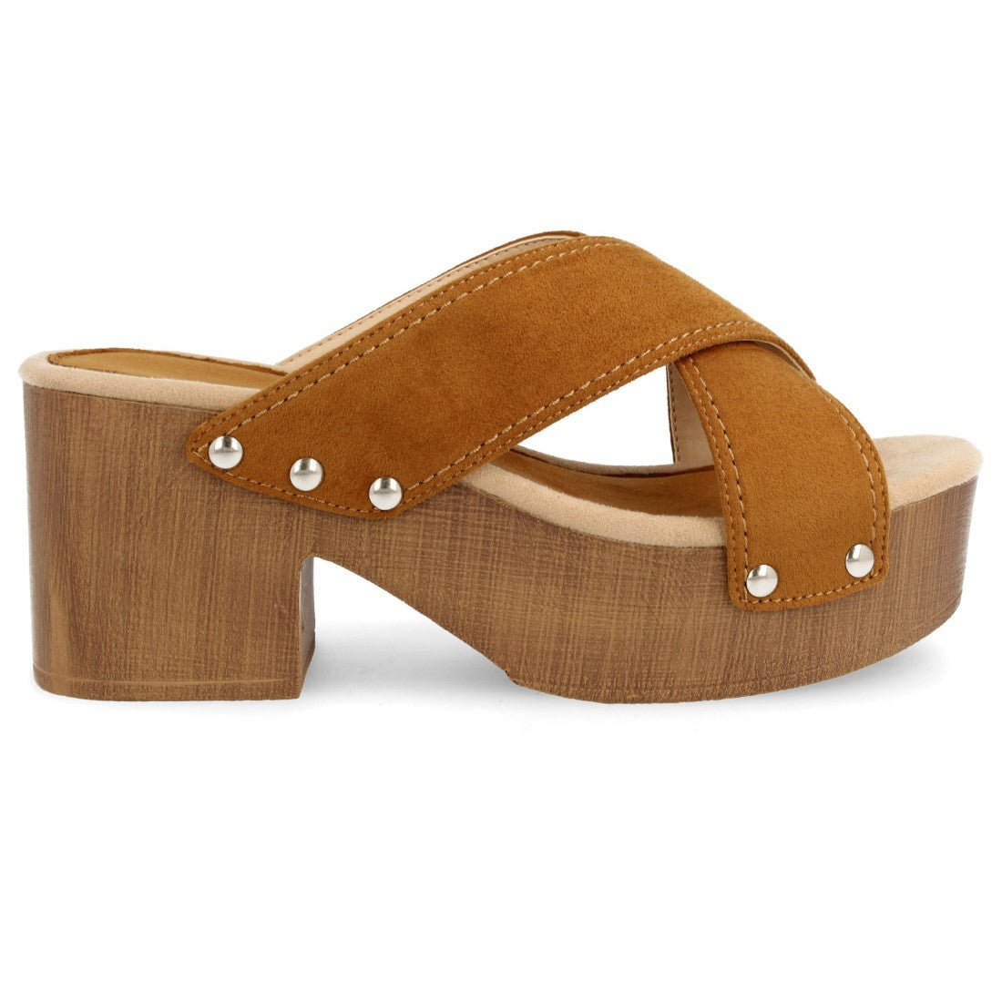 Y5579-Camel