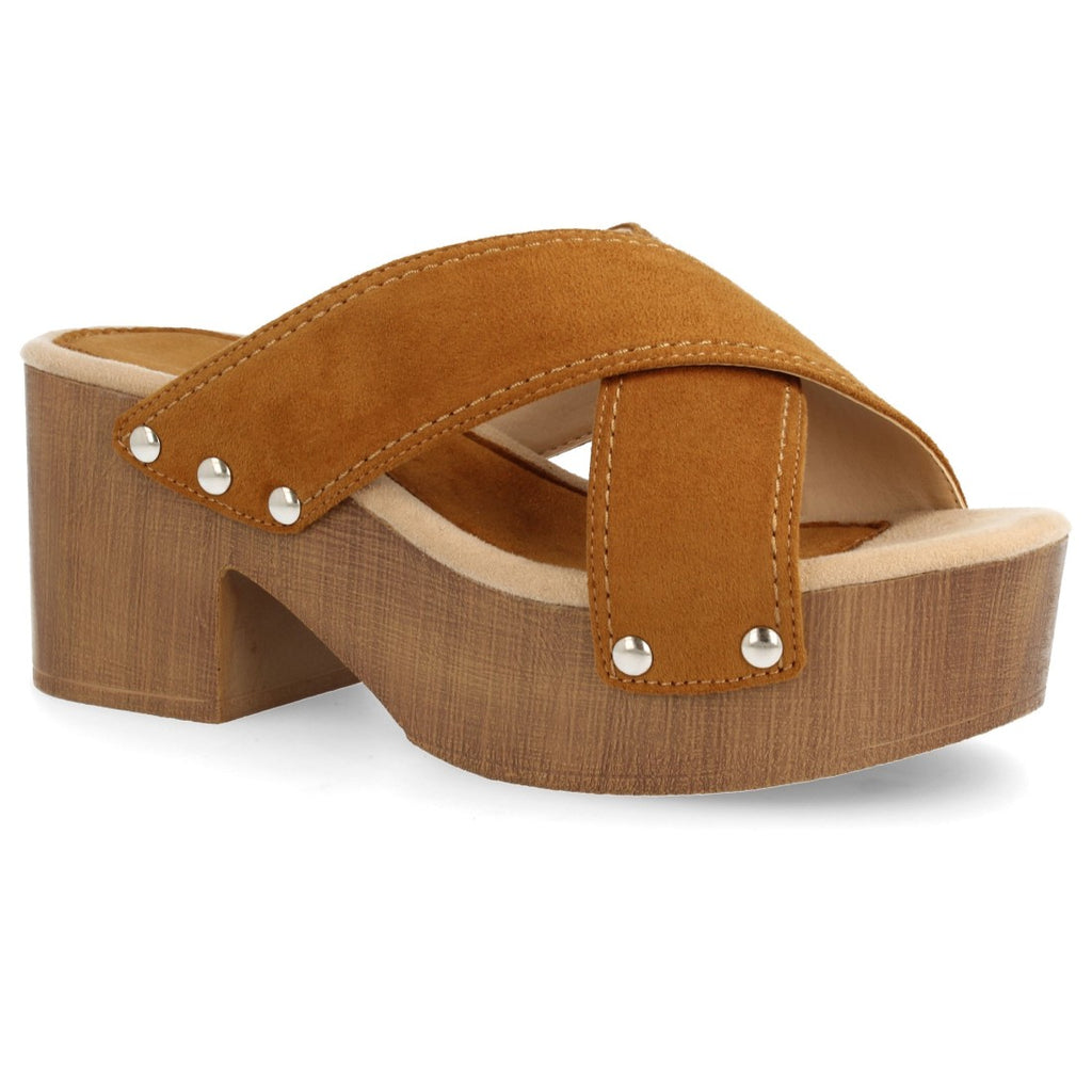 Y5579-Camel