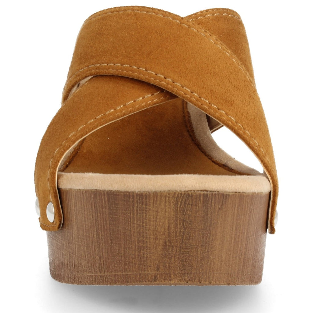 Y5579-Camel