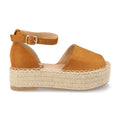 JS929-Camel