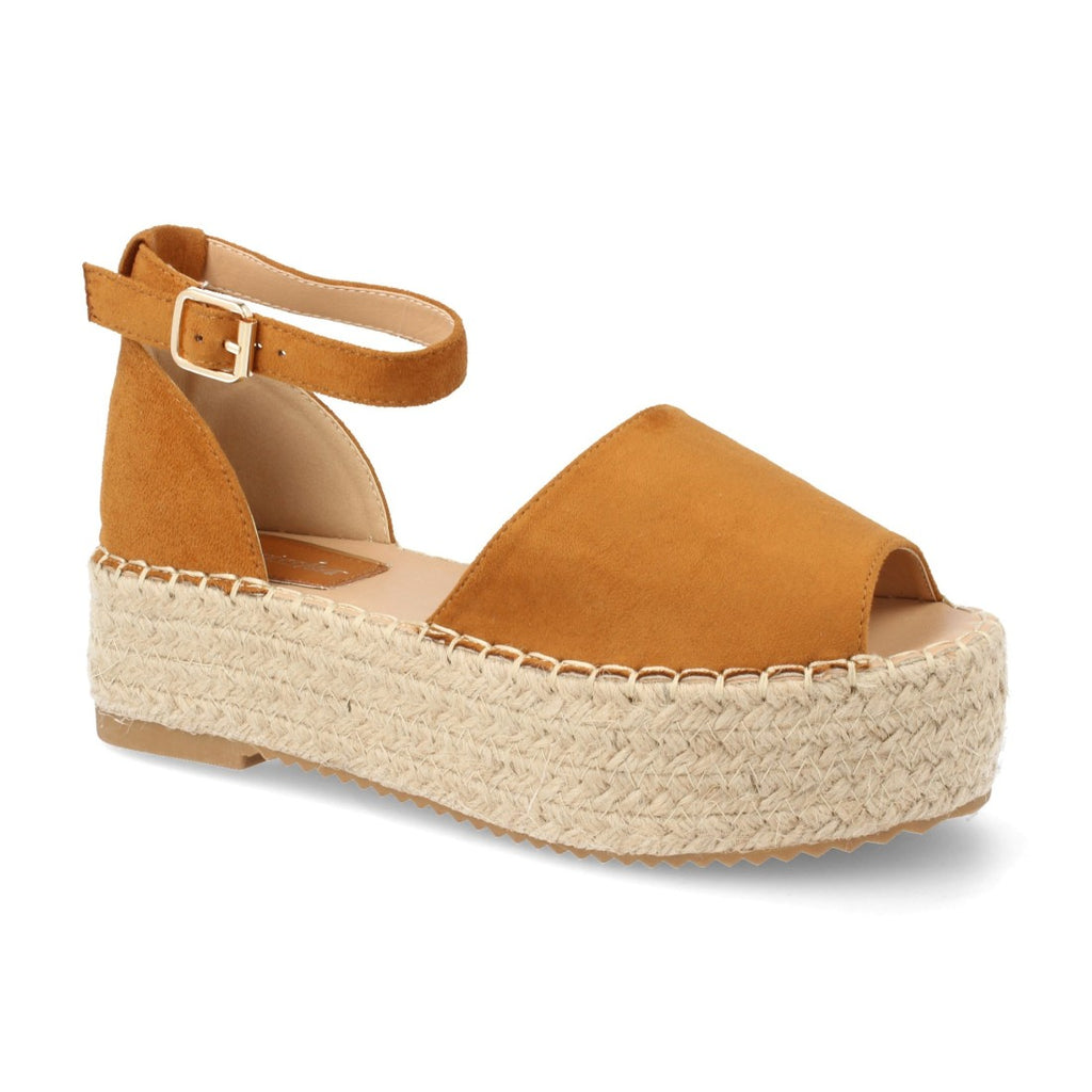 JS929-Camel