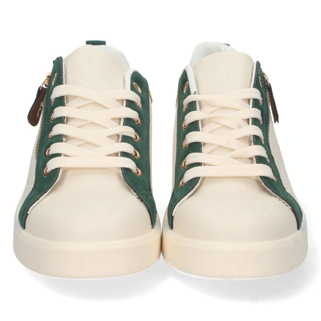 2CD-2054-Green