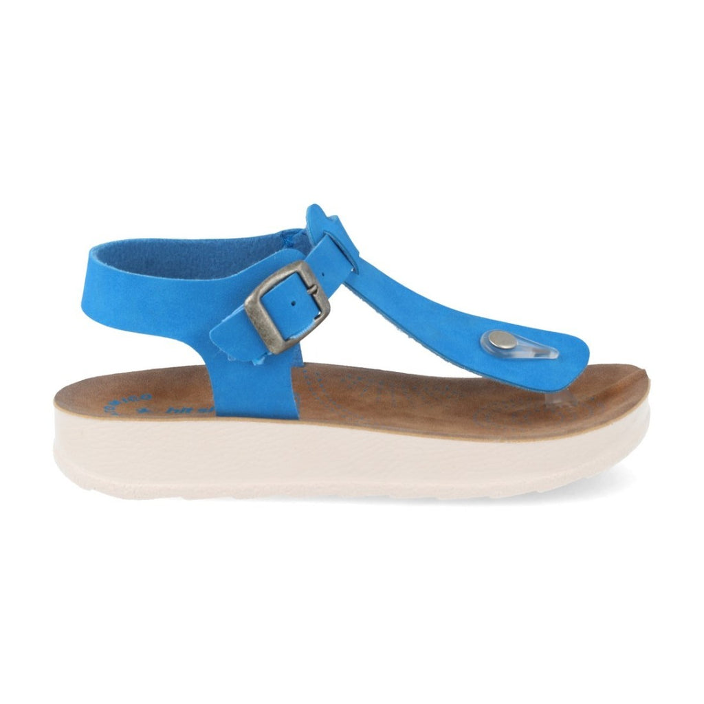 HG22-384-Blue