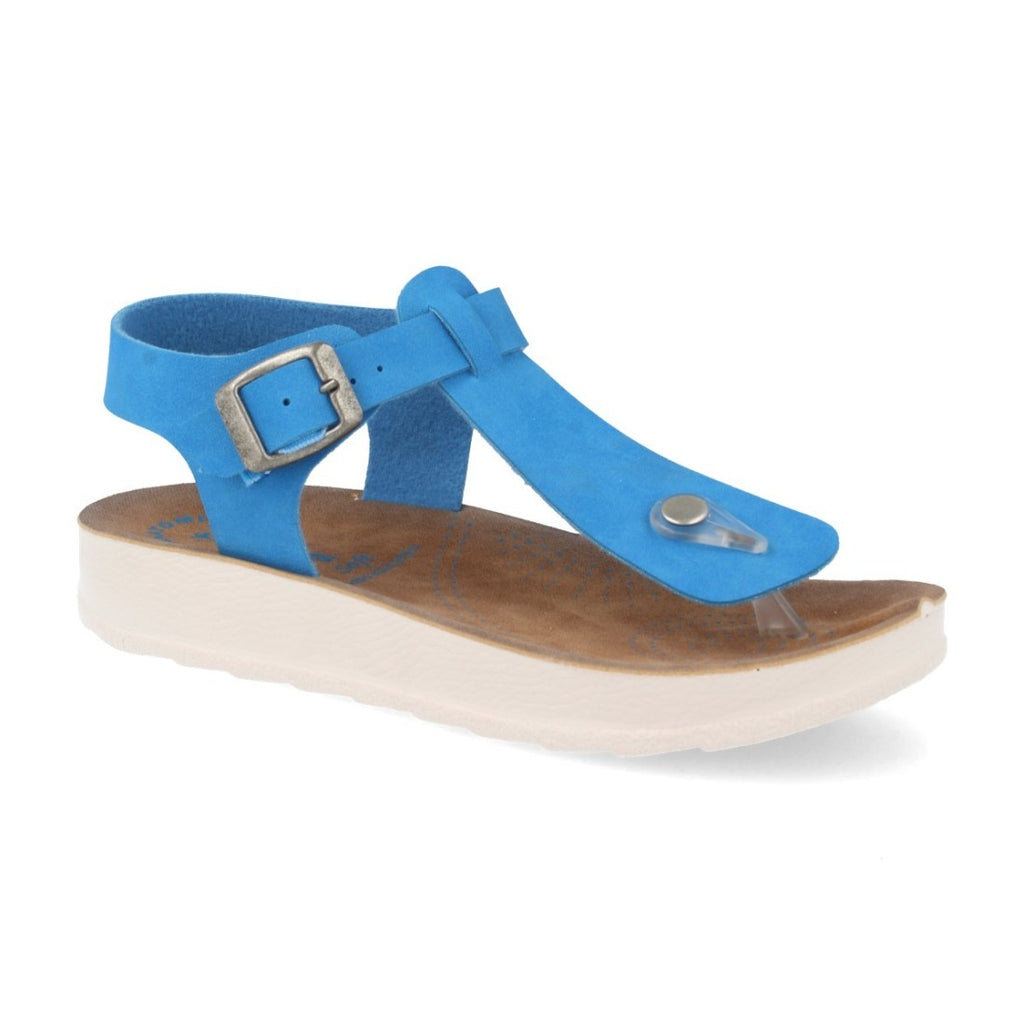 HG22-384-Blue