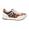 K1940004-Leopard