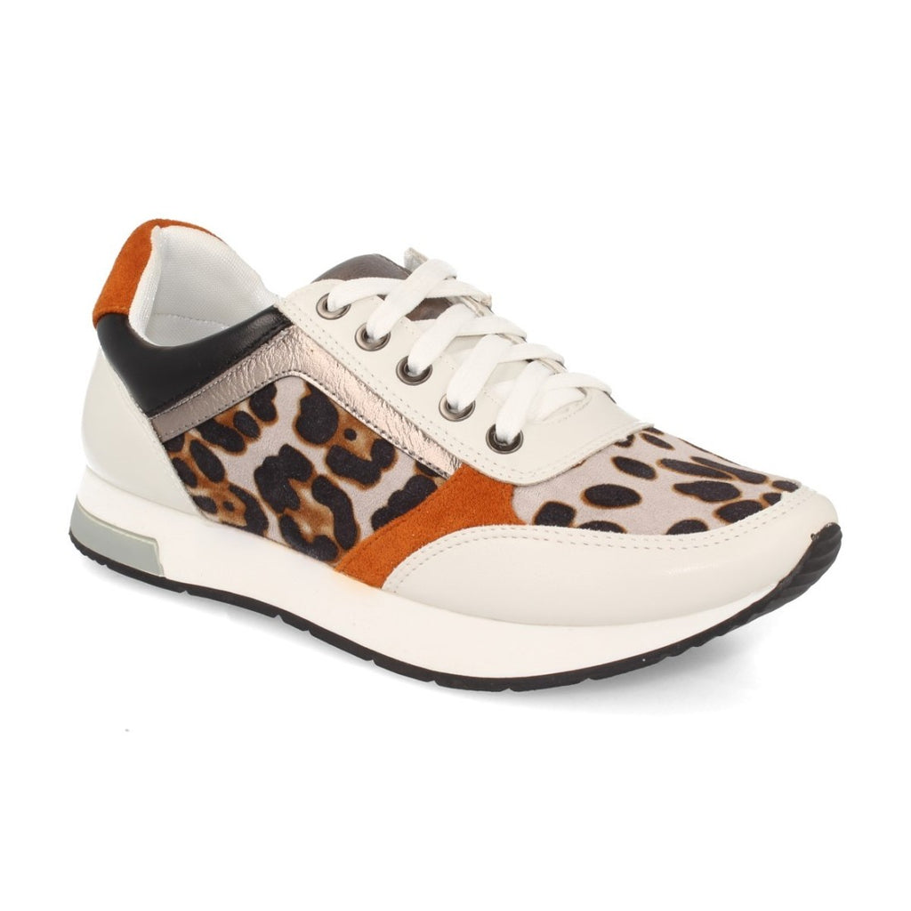 K1940004-Leopard