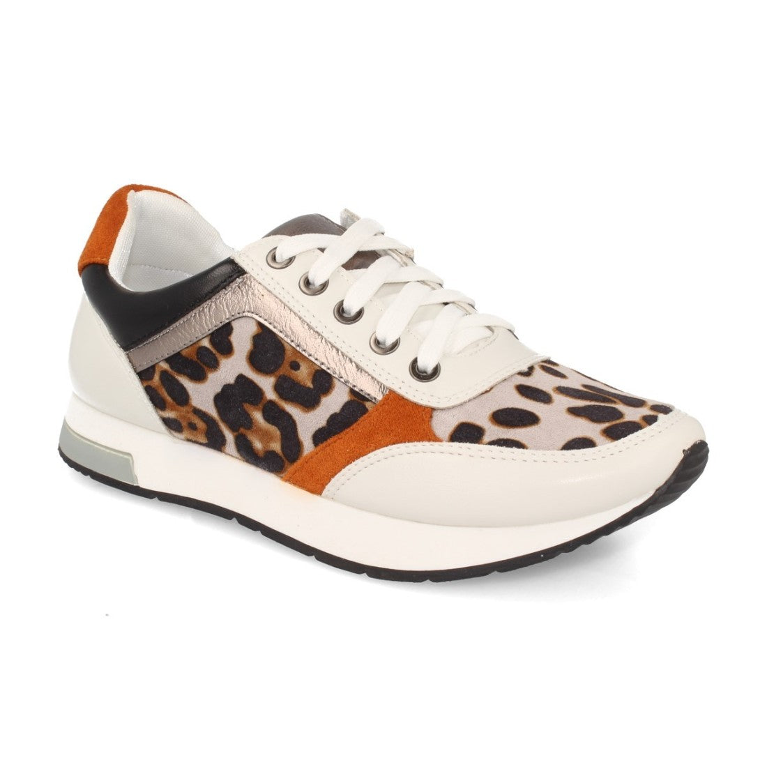 K1940004-Leopard