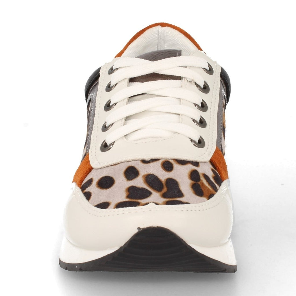 K1940004-Leopard