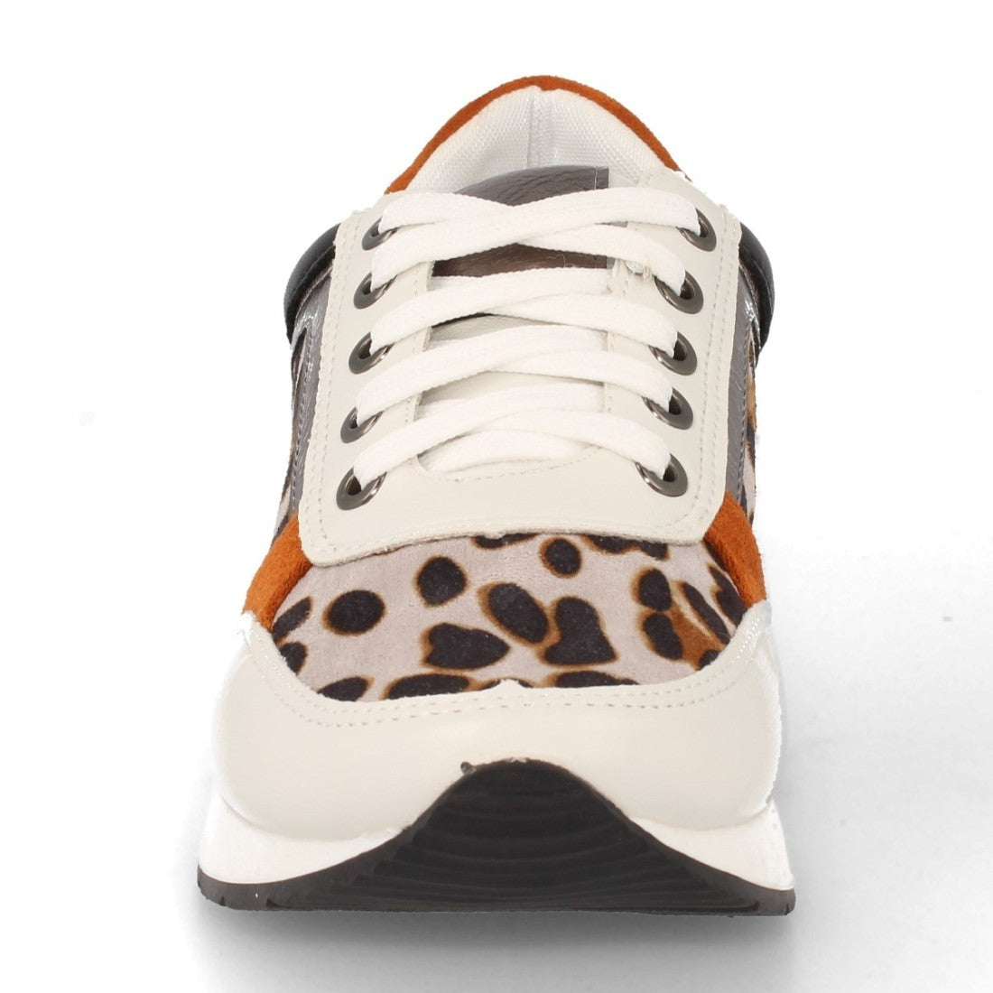 K1940004-Leopard