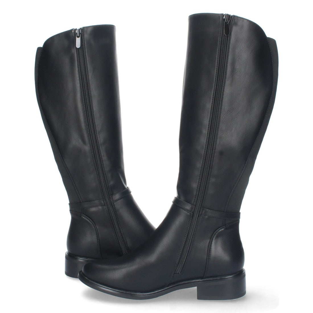 ZS-66-Negro